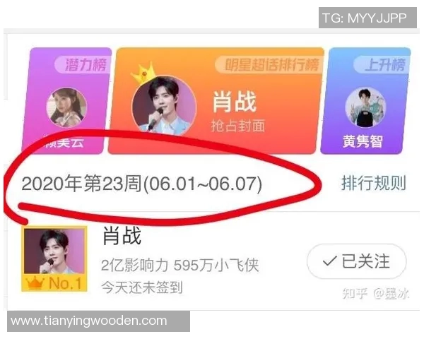 内娱足球明星名单全解析及其影响力探讨