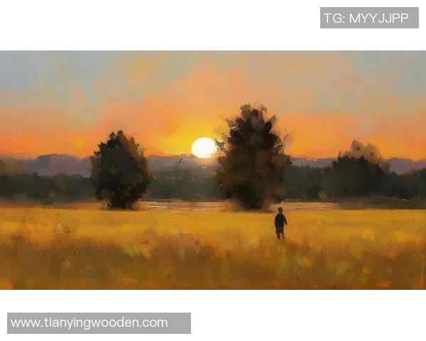 足球明星在野外的高清打球瞬间展现激情与魅力的精彩画面