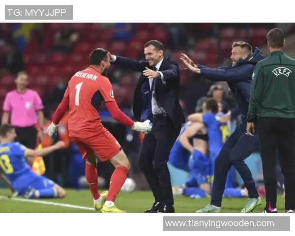 乌克兰在欧洲杯历史上的战绩回顾与分析